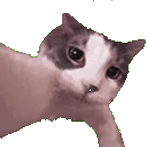 🐱 Стикер «Twitch 7TV Cats» для Telegram