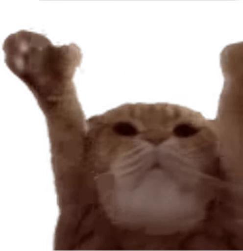 🐱 Стикер «Twitch 7TV Cats» для Telegram