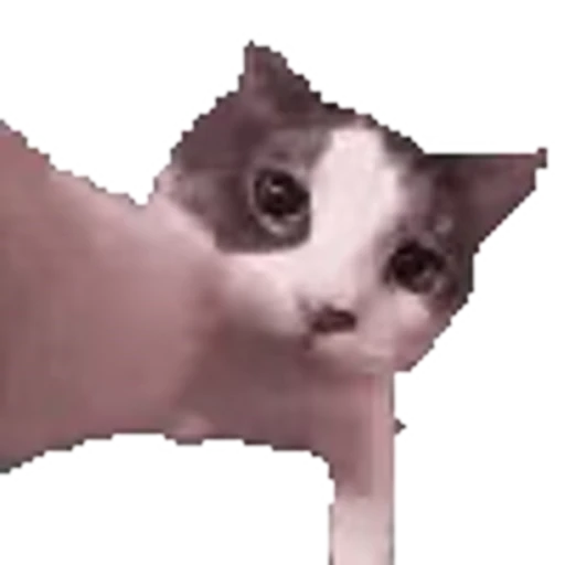 😘 Эмодзи «Twitch Emotes» для Telegram