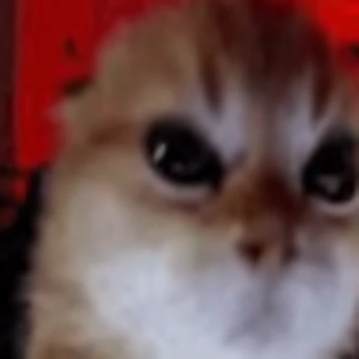 😡 Эмодзи «My Emoji Pack» для Telegram
