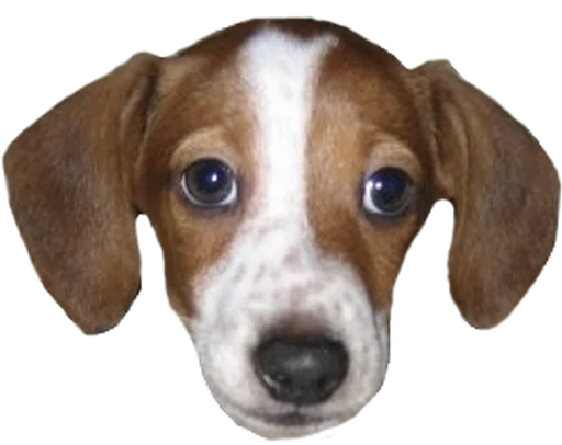 🐶 Стикер «TwitchSmiles» для Telegram