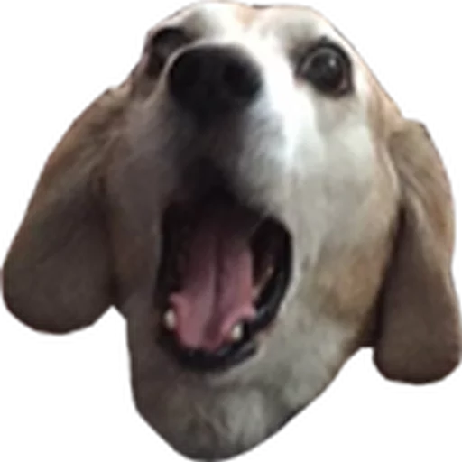 😱 Стикер «TwitchSmiles» для Telegram