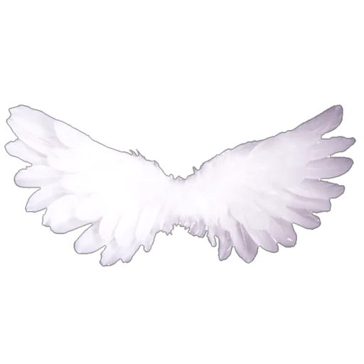 🕊️ Стикер «twotimemanynya» для Telegram