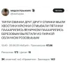 Стикер 34 Тёрли Спинки Премиум