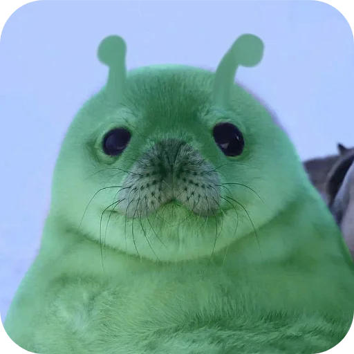 🐦 Стикер «Тюленчик» для Telegram