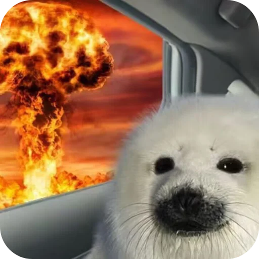🐶 Стикер «Тюленчик» для Telegram
