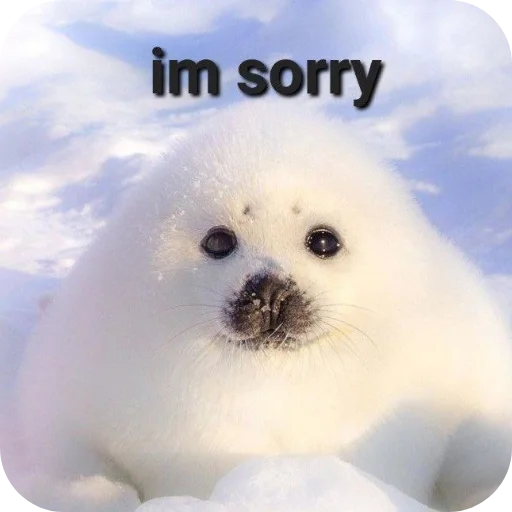 🐶 Стикер «Тюленчик» для Telegram