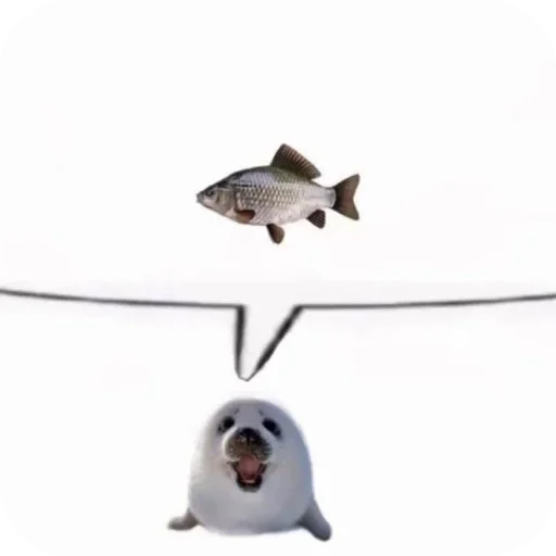 🐦 Стикер «Тюленчик» для Telegram