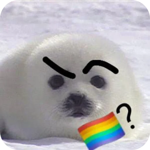 🐶 Стикер «Тюленчик» для Telegram