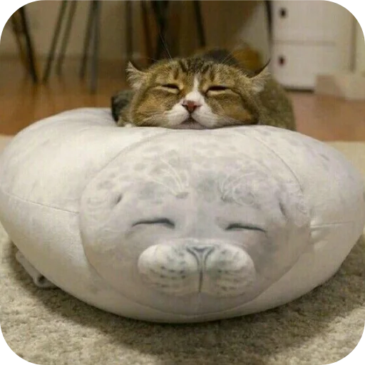 🐱 Стикер «Тюленчик» для Telegram
