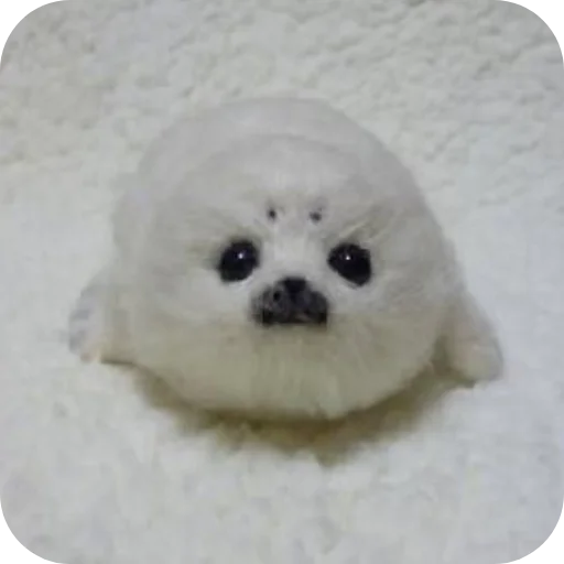 🐶 Стикер «Тюленчик» для Telegram