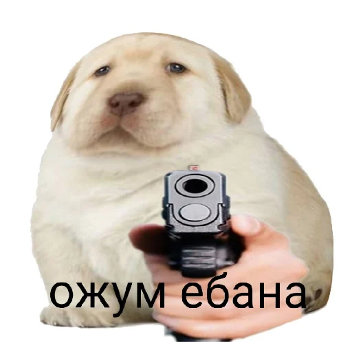 🤫 Стикер «Тыва 2.0» для Telegram