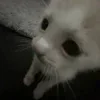 Стикер 2 Как жизнь? #style #random #cute