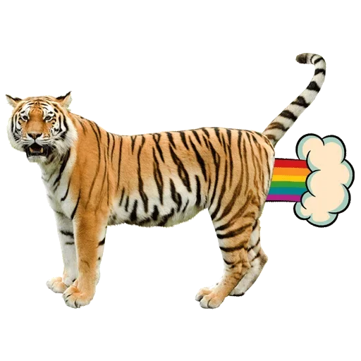 🌈 Стикер «U grandpa» для Telegram