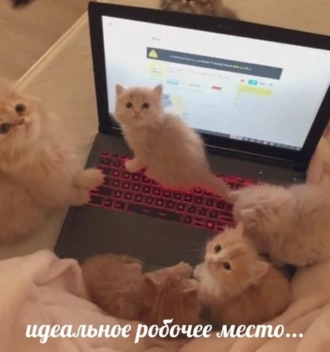 🤩 Стикер «sweety» для Telegram