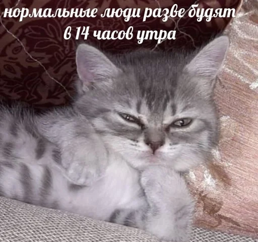 😕 Стикер «sweety» для Telegram
