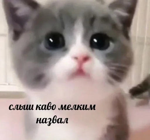 👿 Стикер «sweety» для Telegram