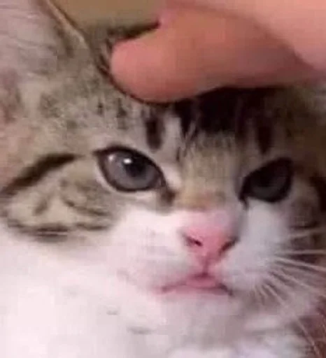😠 Стикер «sweety» для Telegram