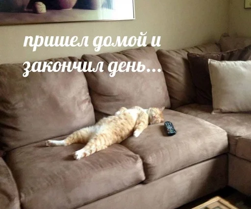 😵‍💫 Стикер «sweety» для Telegram