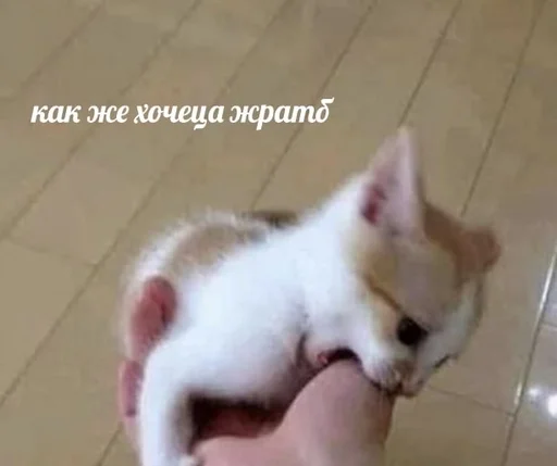 😶 Стикер «sweety» для Telegram