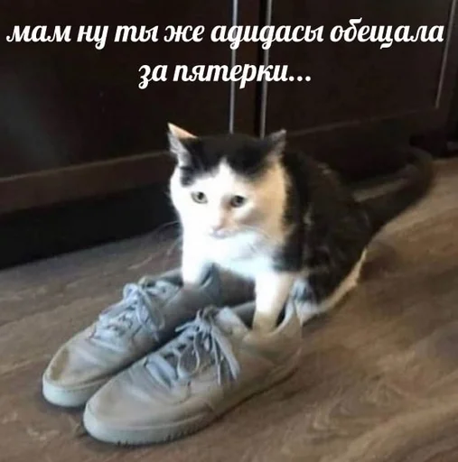 😫 Стикер «sweety» для Telegram