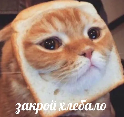 😠 Стикер «sweety» для Telegram