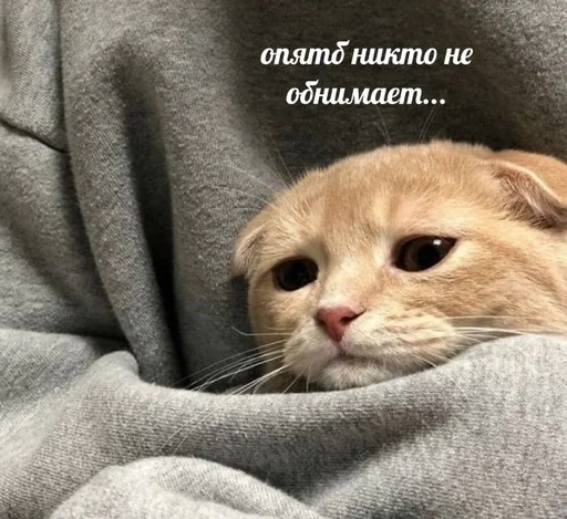😞 Стикер «sweety» для Telegram