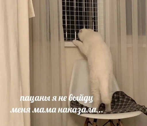 😪 Стикер «sweety» для Telegram