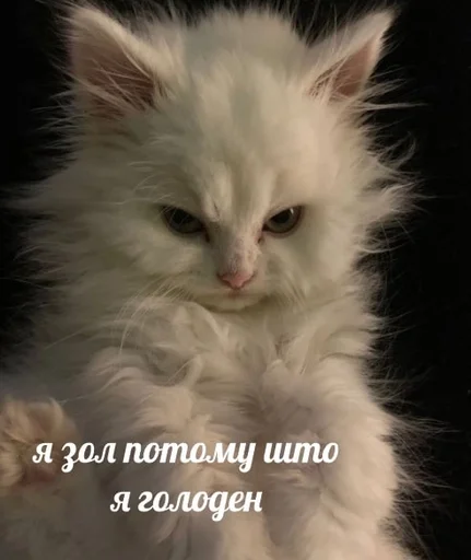 😈 Стикер «sweety» для Telegram