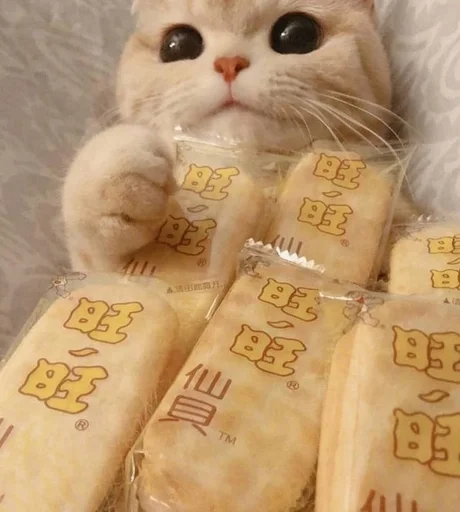 😛 Стикер «sweety» для Telegram