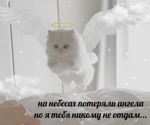 😘 Стикер «sweety» для Telegram