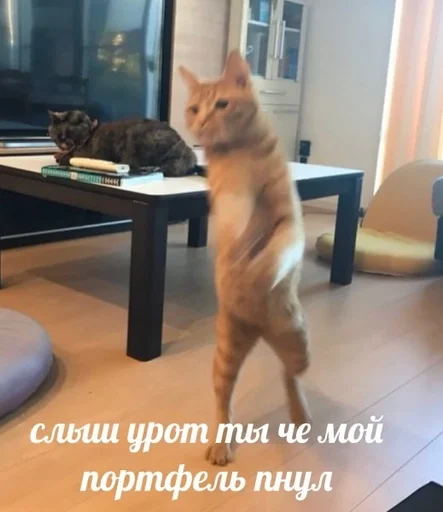 😠 Стикер «sweety» для Telegram