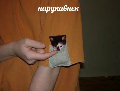 😼 Стикер «sweety» для Telegram