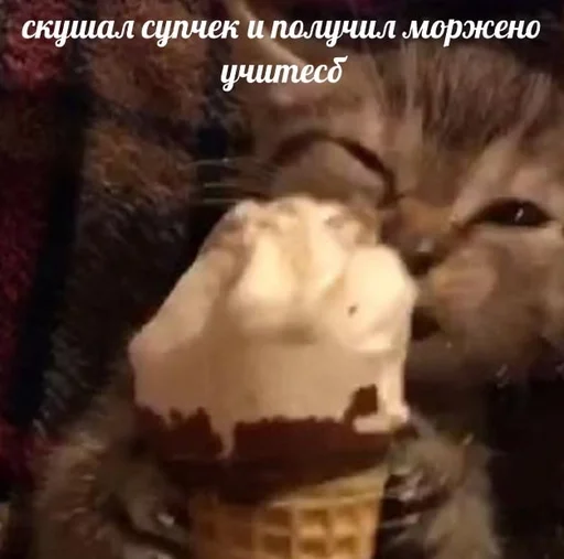 😉 Стикер «sweety» для Telegram