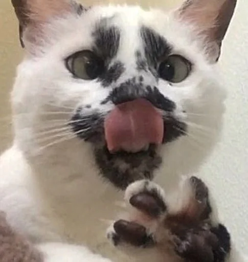 😝 Стикер «sweety» для Telegram