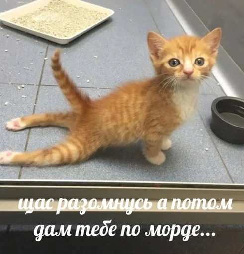 😈 Стикер «sweety» для Telegram
