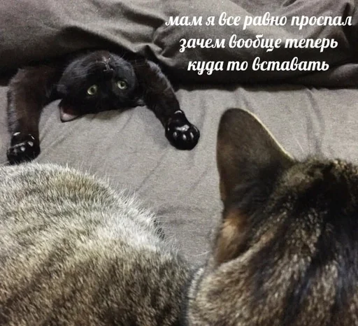 😁 Стикер «sweety» для Telegram