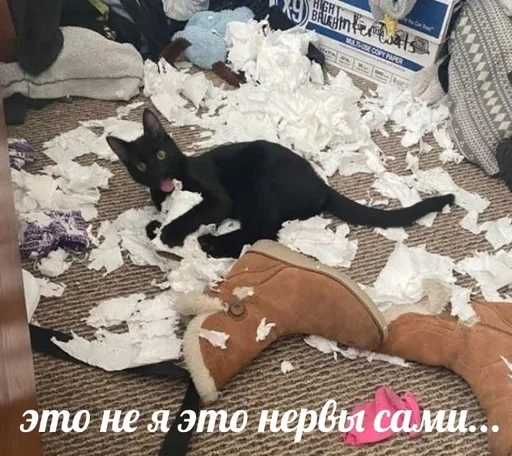 😡 Стикер «sweety» для Telegram