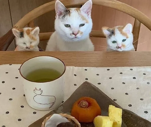 ☕️ Стикер «sweety» для Telegram