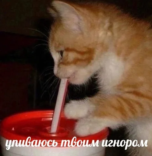 😢 Стикер «sweety» для Telegram