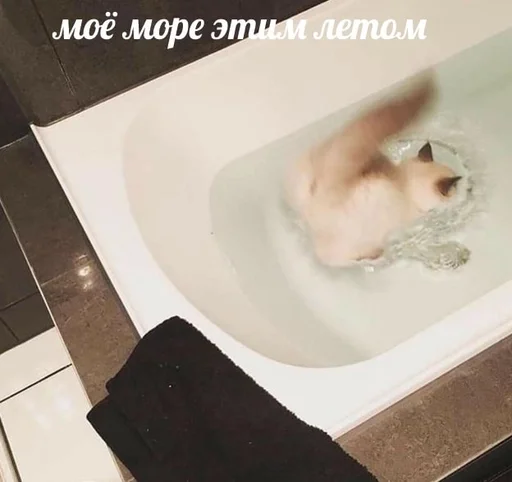 😶‍🌫️ Стикер «sweety» для Telegram