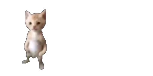 🧍‍♀️ Стикер «Мікро-Кішки» для Telegram