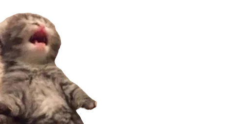 😩 Стикер «Мікро-Кішки» для Telegram