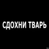 Стикер 54 Лесюшка #girl #status #style