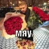 Стикер 53 Лесюшка #girl #status #style
