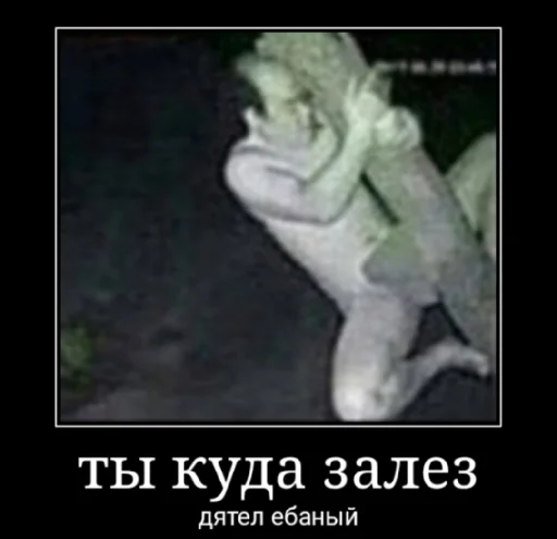 🌲 Стикер «Скачать учебник алгебра 7 класс» для Telegram