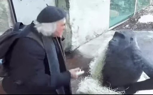 🤓 Стикер «Uh Oh 3» для Telegram