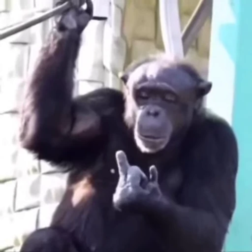 🖕 Стикер «Uh Oh 3» для Telegram