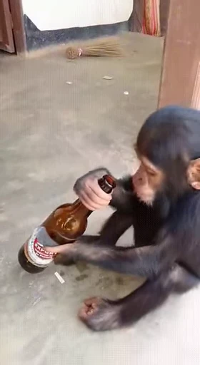 🍺 Стикер «Uh Oh 3» для Telegram
