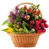 Стикер 35 💐 Набор эмоджи с букетами цветов